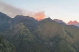 Kebakaran di Alas Lali Jiwo Gunung Arjuno telah terkendali