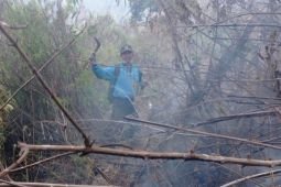 Perhutani pastikan kebakaran di kawasan Gunung Butak berhasil dipadamkan