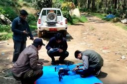 UB Forest deploys thermal drone to boost forest fire mitigation