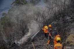 TNBTS sebut titik asap di Bromo berhasil dilokalisasi petugas gabungan