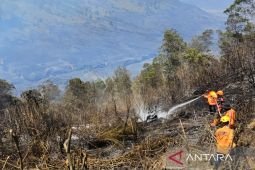 BPBD Malang pastikan api di Jemplang kawasan Bromo padam