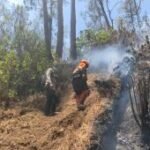 Perhutani pastikan kebakaran di Gunung Butak sepenuhnya padam