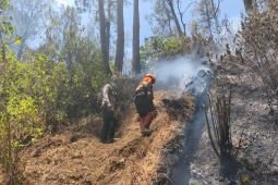 Perhutani pastikan kebakaran di Gunung Butak sepenuhnya padam