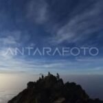 Pendakian Gunung Arjuno-Welirang dibuka kembali pascakebakaran