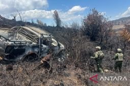 TNI sebut OPM pelaku kekerasan terhadap sopir di Danau Habema