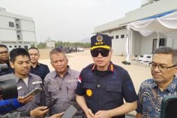 Indonesia may pursue criminal charges over suspected turtle hunting