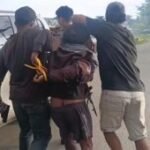 Satgas Damai Cartenz tangkap anggota KKB terduga penembak ASN