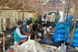 Pemkab catat produksi garam Lamongan 1.317 ton hingga Agustus
