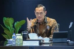 Menko IPK: Keselamatan penerbangan jadi prioritas utama terkait erupsi