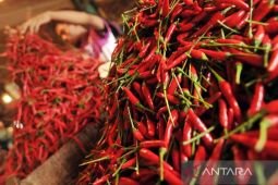 Harga pangan Rabu ini, cabai rawit Rp78.100/kg dan telur ayam Rp29.550/kg