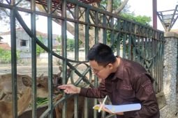 Pemkab Tulungagung segera revitalisasi kebun satwa mini