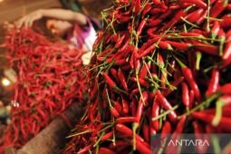 BPS sebut kenaikan harga cabai rawit dan cabai merah meluas