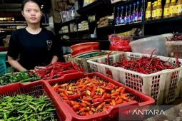 Harga pangan Sabtu ini, cabai rawit Rp84.000/kg dan telur ayam Rp29.650/kg
