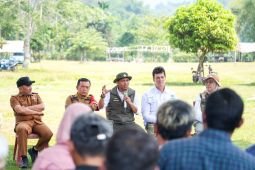Indonesia seeks wider community share in forest carbon trade