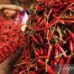 Harga pangan Senin ini, cabai rawit Rp113.750/kg dan telur ayam Rp29.400/kg