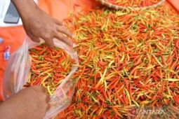 Harga pangan Kamis ini, cabai rawit Rp92.350/kg dan telur ayam Rp29.200/kg