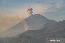 Badan Geologi larang aktivitas 13 km dari puncak Gunung Semeru