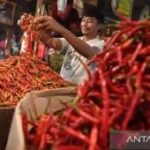 Harga pangan Senin ini, cabai rawit Rp95.000/kg dan telur ayam Rp30.000/kg