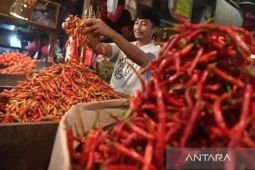 Harga pangan Senin ini, cabai rawit Rp95.000/kg dan telur ayam Rp30.000/kg