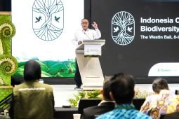 Menteri LH pastikan pasar karbon RI harus berbasis aksi iklim nyata