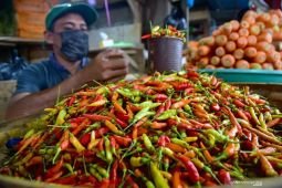 Harga pangan Senin ini, cabai rawit Rp85.500/kg dan telur ayam Rp28.350/kg