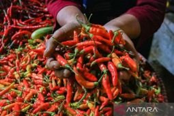 Harga pangan Selasa ini, cabai rawit Rp94.900/kg dan telur ayam Rp31.000/kg
