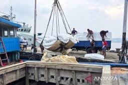 BP BUMN apresiasi Bulog jaga ketahanan pangan nasional