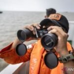 Basarnas masih cari 123 korban KM Virgo yang belum ditemukan