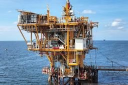 DEN pushes biofuel expansion, energy reserves to curb fuel imports