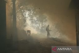 BPBD : Kebakaran TWA Kawah Ijen merembet ke Pos 4 jalur pendakian