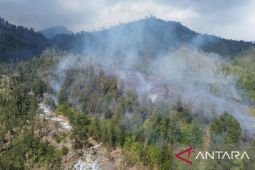 Banyuwangi govt declares emergency over Ijen forest fire