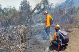 Mount Semeru wildfire extinguished after burning 3,000 hectares