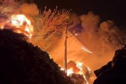 Kebakaran hebat di Srengseng Jakbar, 110 personel diterjunkan