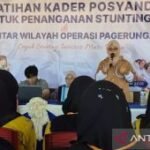 Sumenep perkuat peran kader posyandu atasi stunting di kepulauan
