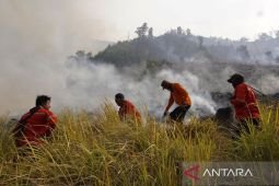 Tim gabungan tangani kebakaran di Sabana Pengol Gunung Bromo