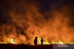 Kemenhut imbau masyarakat waspadai karhutla hingga awal November 2026