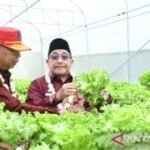 Pemkab Sumenep perkuat kapasitas petani sukseskan swasembada pangan