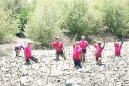 Pertamina tanam 1.000 mangrove untuk lindungi pesisir Gresik