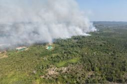 Indonesia's Air Force deploys Caracal to fight Nusantara's wildfire