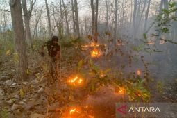 Petugas TN Baluran Situbondo amankan terduga pelaku pembakaran hutan
