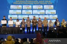 Menteri UMKM: Perpres Ojol disiapkan terintegrasi dengan regulasi lain