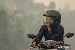 Environment Ministry takes legal action on 21 firms over forest fires