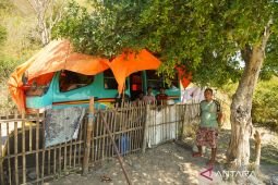 BNPB: Verifikasi rumah terdampak gempa M 7,7 Flores capai 51.591 unit