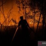 BNPB: Karhutla yang belum padam tersisa 96,07 hektare