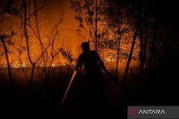 BNPB: Karhutla yang belum padam tersisa 96,07 hektare