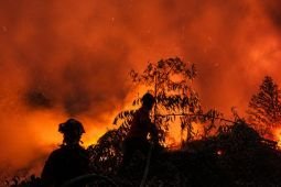 Personel gabungan helikopter water bombing padamkan lahan gambut Jambi