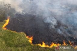 Polri tetapkan 138 tersangka kasus karhutla