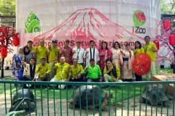 Surabaya Zoo welcomes four giant Aldabra tortoises in historic first