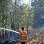 Satpol PP-Damkar Madiun catat 85 kejadian kebakaran saat musim kemarau