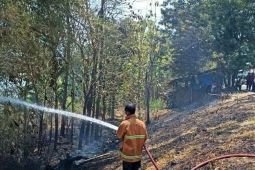 Satpol PP-Damkar Madiun catat 85 kejadian kebakaran saat musim kemarau